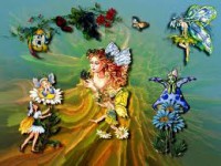 /album/fotogaleria-poderosas-hierbas/images49ja9kc3-jpg/