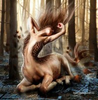 /album/fotogaleria-biografia1/img-57845673449951-jpeg2/