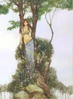 /album/fotogaleria-inicio2/images3ueh9hio-jpg1/