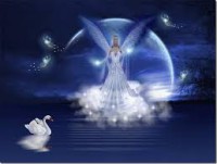 /album/fotogaleria-los-arcangeles2/imagesbzfywc9k-jpg/